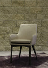 Fritz Arm Dining Chair