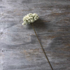 Yarrow Stem - Cream Faux Plant