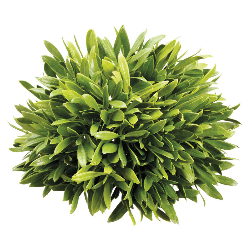 Olive Leaf Ball, 6.5in