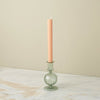 Nalia Candlestick, Parakeet