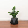 Ion Short Fiberclay Planter, Black, Small