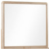 Havn Wall or Dresser Mirror in Ginger