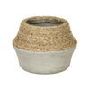 Nature Milk Jug Grass and Concrete Pot
