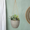 Classic Small Hanging Pot - Cement Grey