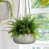 Circular Medium Hanging Pot - Cement Grey