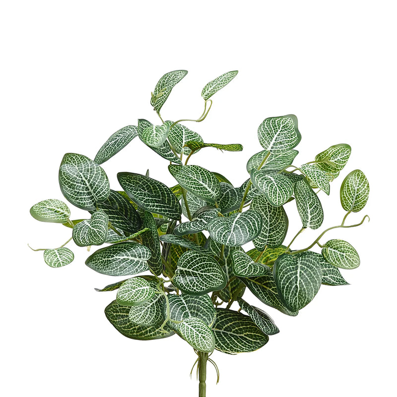 Fittonia Leaf Bush, 15in