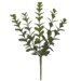 Boxwood Spray, 12.5in