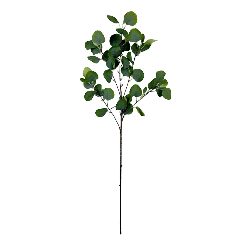 Eucalyptus Stem, 36in