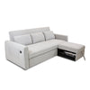 Hedal Sofa Sectional Sleeper
