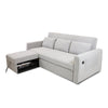 Hedal Sofa Sectional Sleeper