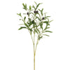 Olive Spray, 28in