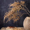 Asparagus Fern Desert - Faux Plant