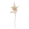 Asparagus Fern Desert - Faux Plant