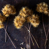Marron Bunch Faux Plant