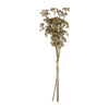 Meadow Sedge Stem - Faux Plant