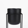 BUMBLE (SET OF 2) 12L X 12W X 32H BLACK PLANT STANDS