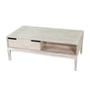 Gemini Coffee Table (LAST ONE)