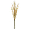 Gold Pampas Grass