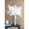 White Pampas Grass