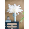 White Pampas Grass