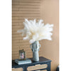 White Pampas Grass