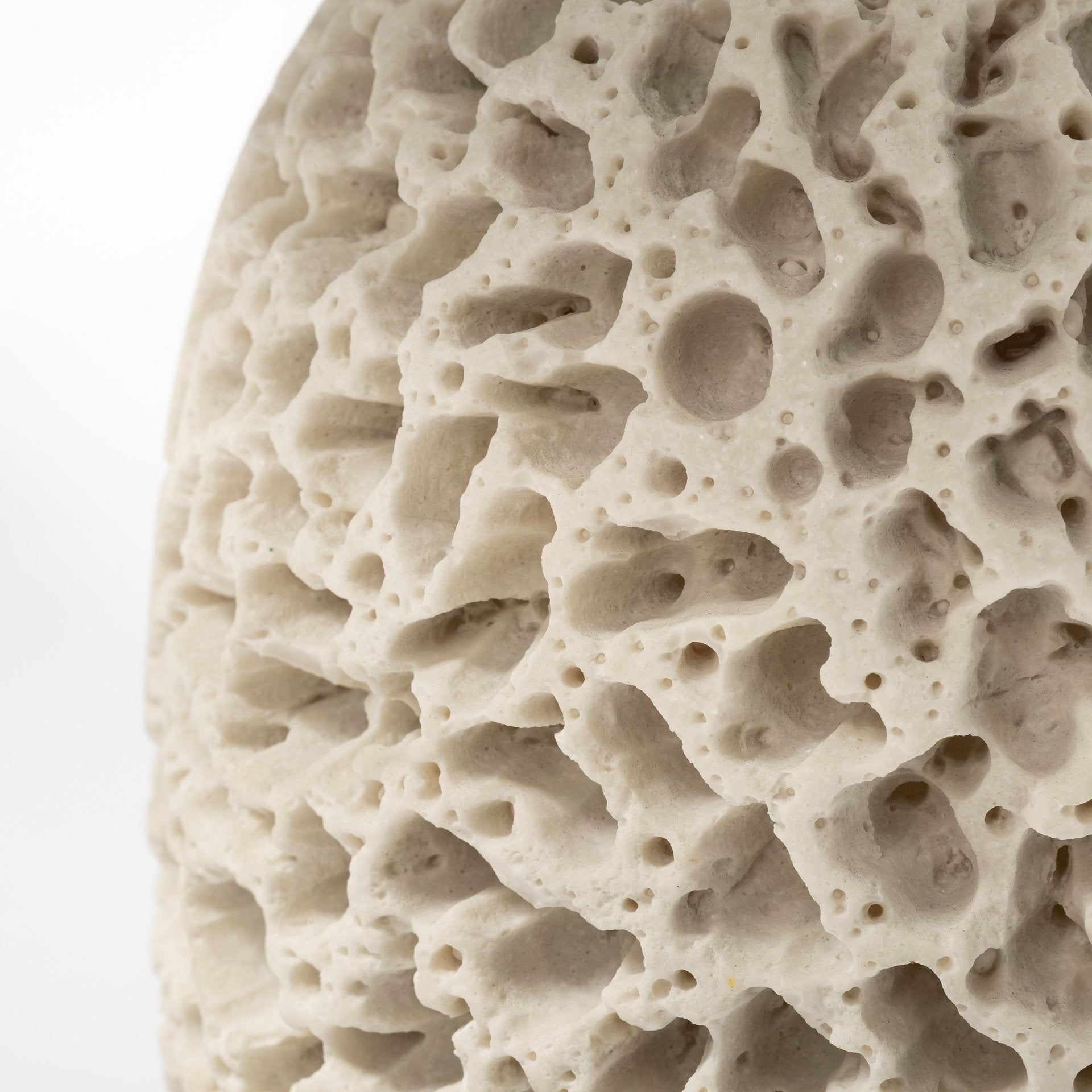 Mariam (26"H) Beige Coral-Inspired Base Table Lamp-thumbmail-4
