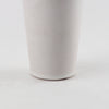 Esme 4.5L x 4.5W x 10.4H Whitewashed Ceramic Vase