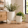 Bramble Metal Floor Planters, S2
