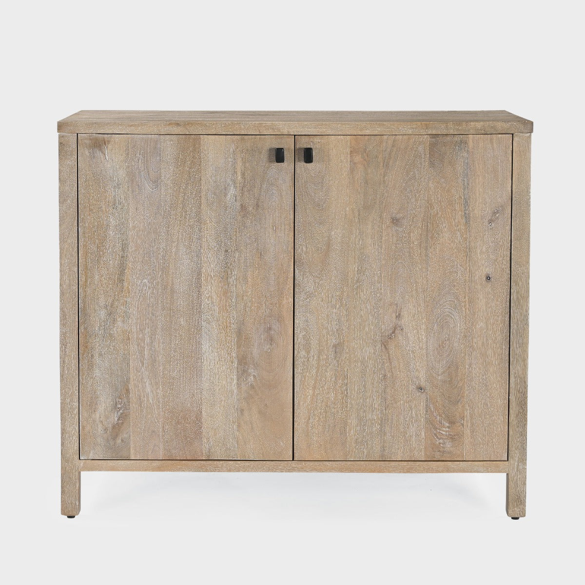 Elina 2 Door Cabinet-thumbmail-1