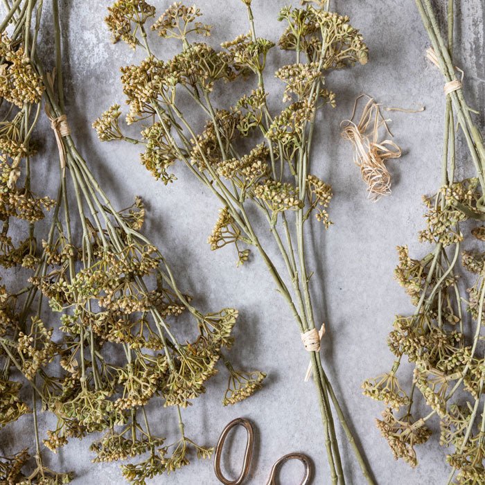 Meadow Sedge Stem - Faux Plant
