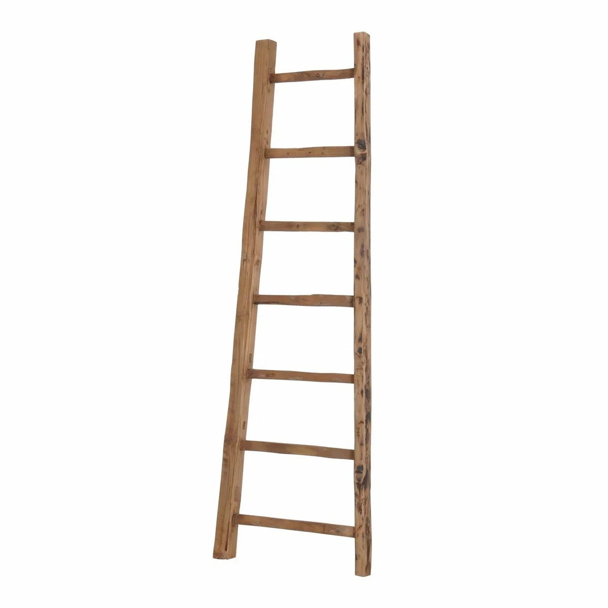 D-Bodhi Ladder