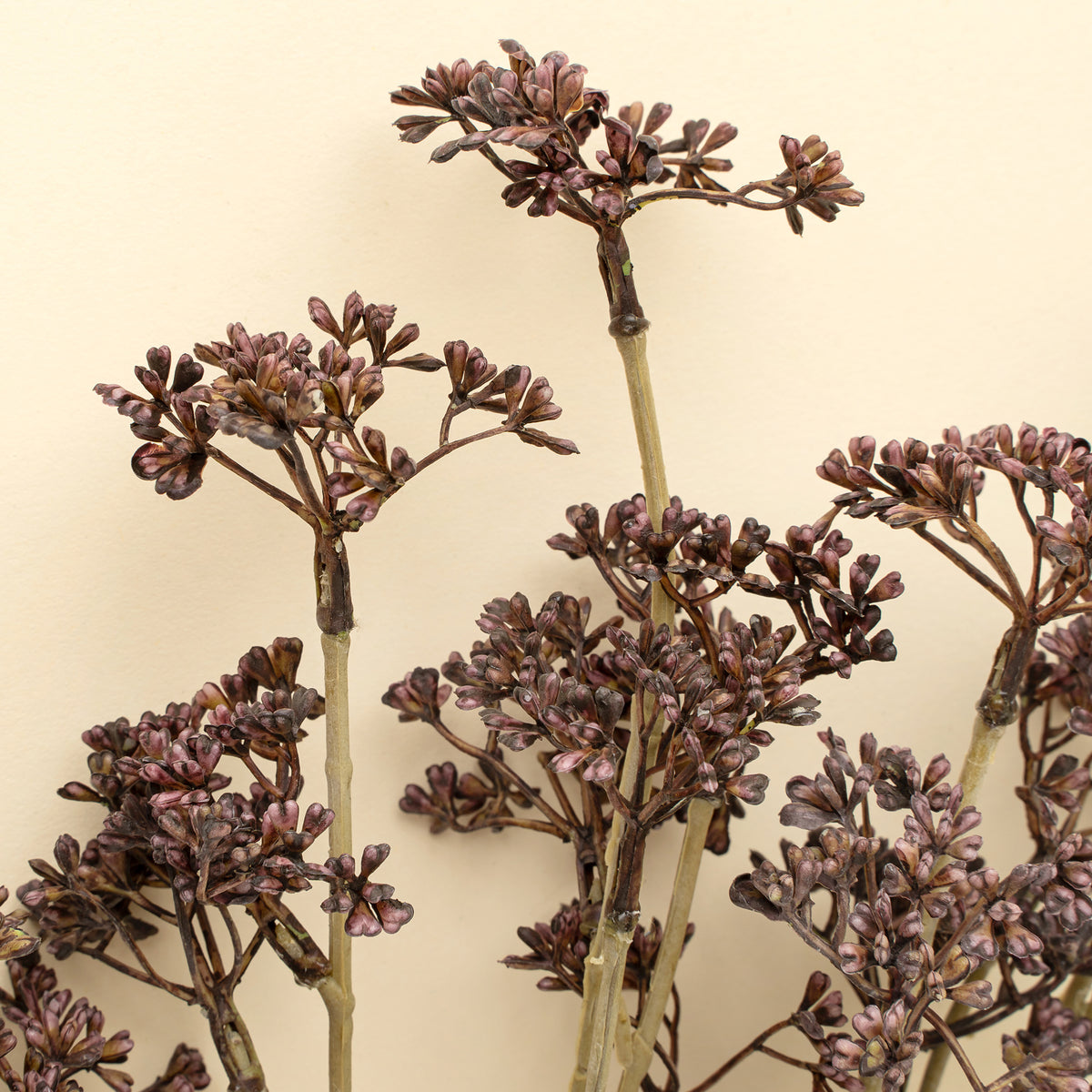 Meadow Grass Bouquet, Purple-thumbmail-2