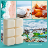 Salted Sea Glass Classic Wax Melts