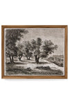 WALL ART FRAMED CANVAS PRINT OLIVE TREES MULTI