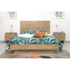 Atlantis Bed