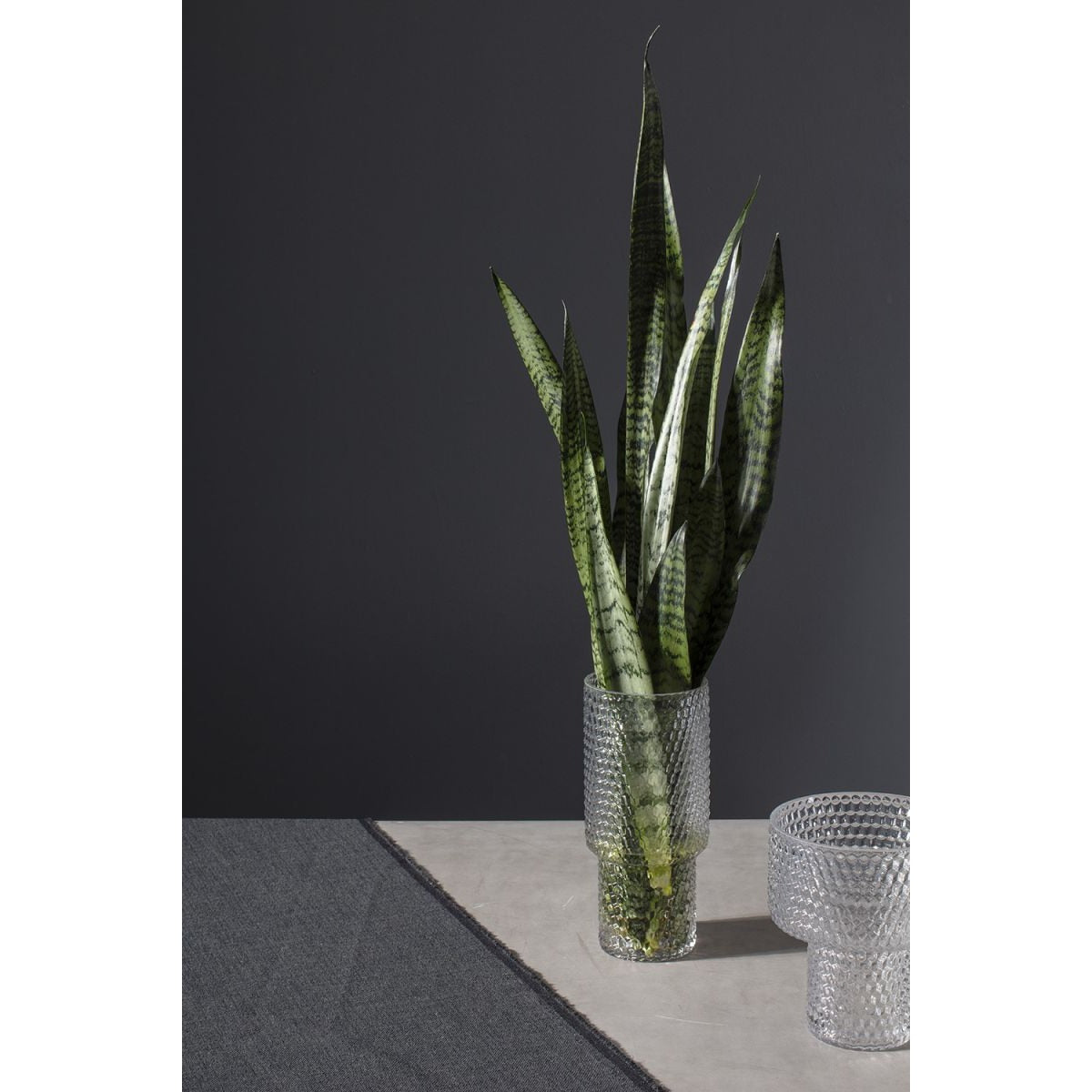 Corinthia Vase