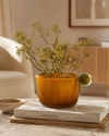 Glass Vase/Bowl w/ Ball, Opaque Amber Color & Gree