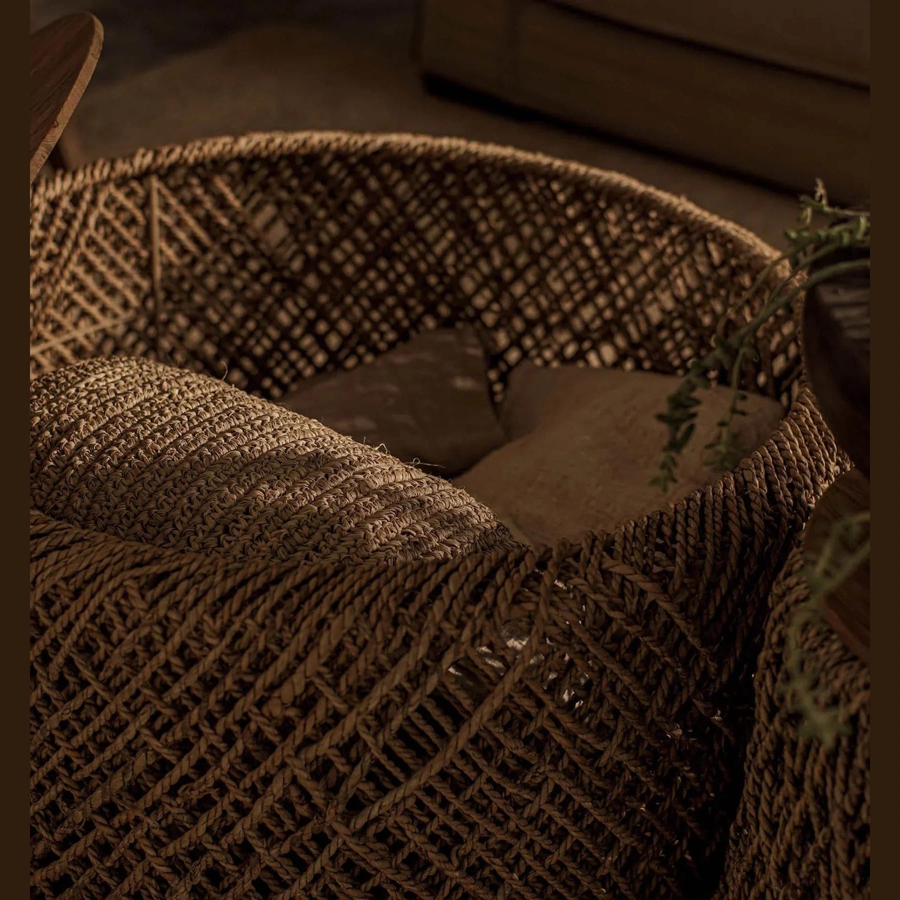 D-Bodhi Knut Coffee Table
