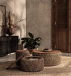 D-Bodhi Knut Coffee Table