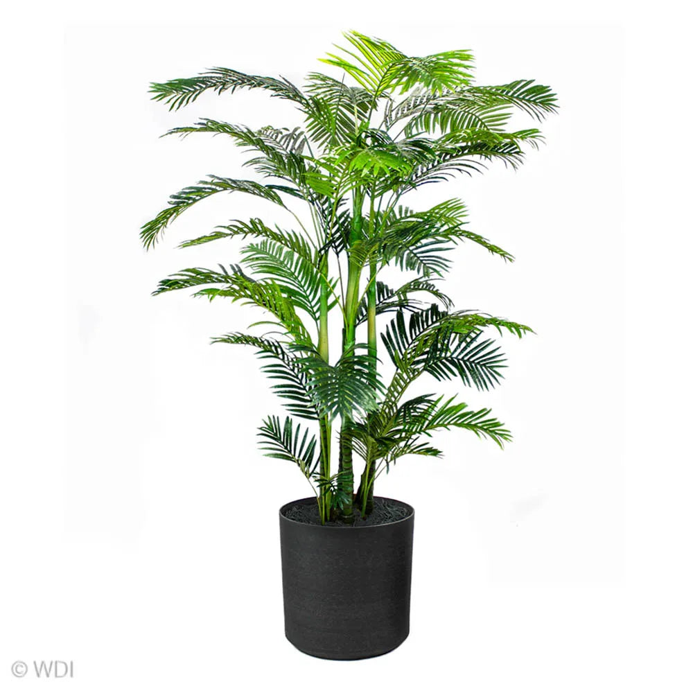 Potted Areca Palm, 8ft