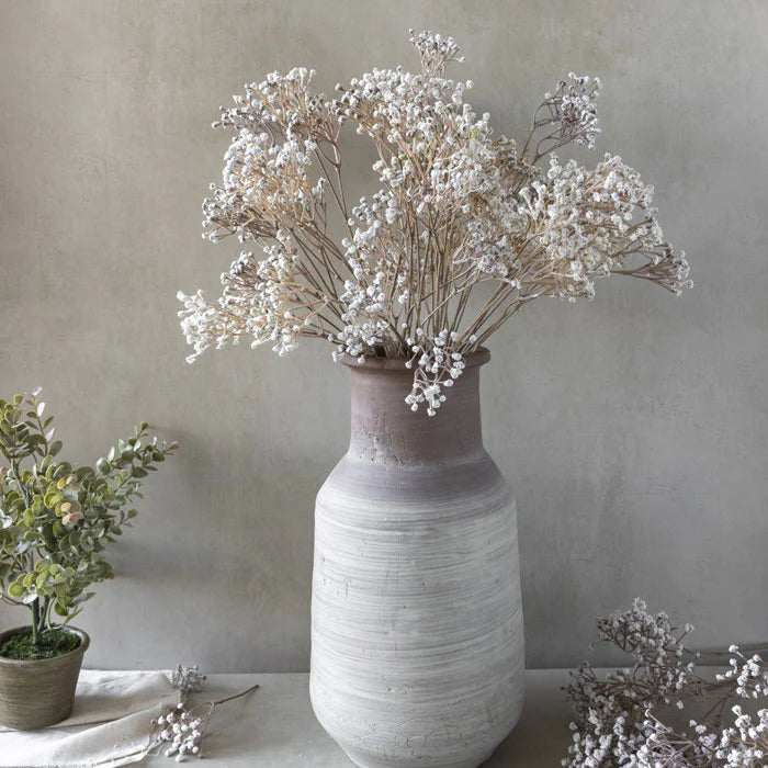 Gypsophilas Stem-thumbmail-1