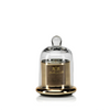 Apothecary Guild Candle Jar w/ Dome - Siberian Fir