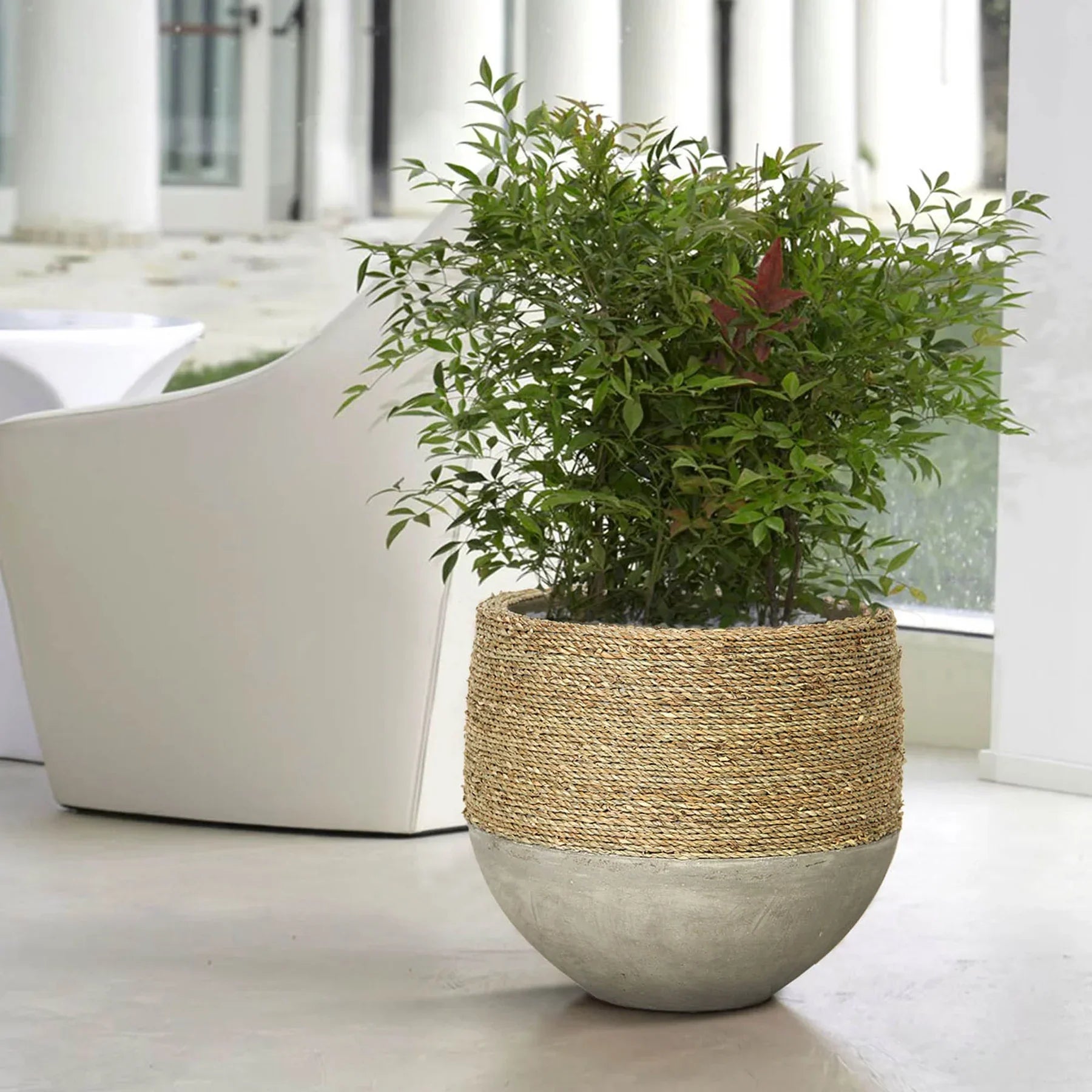 Nature Mixed Grass and Concrete Pot-thumbmail-2