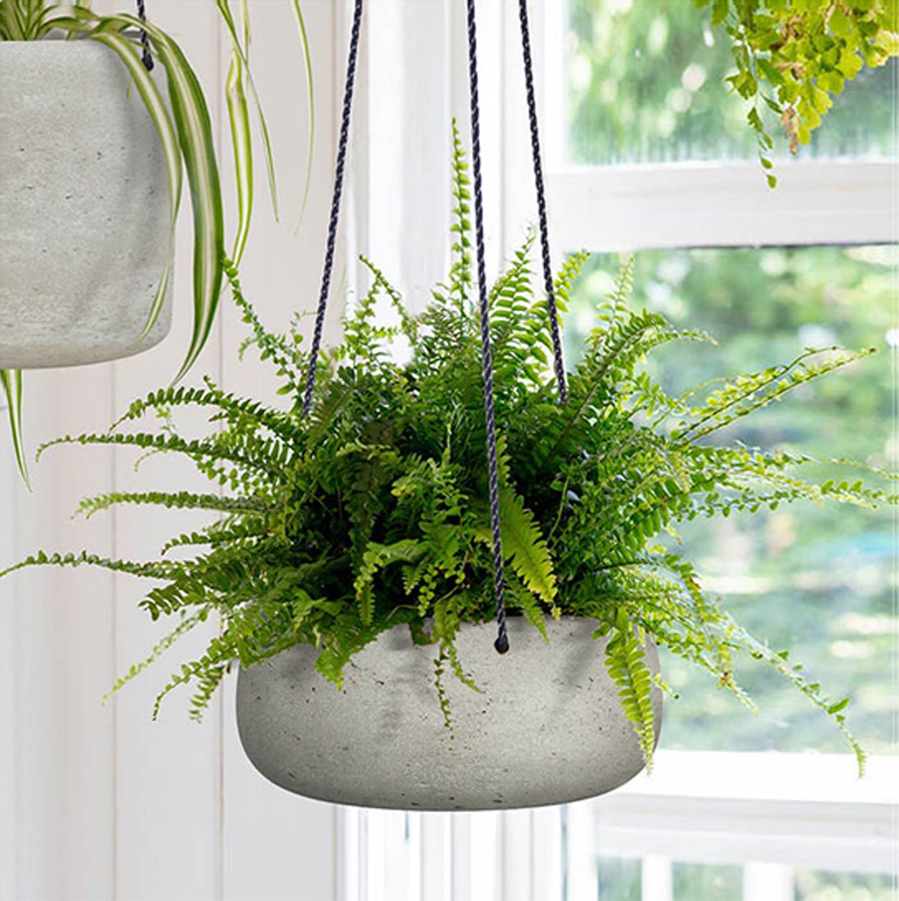 Circular Medium Hanging Pot - Cement Grey