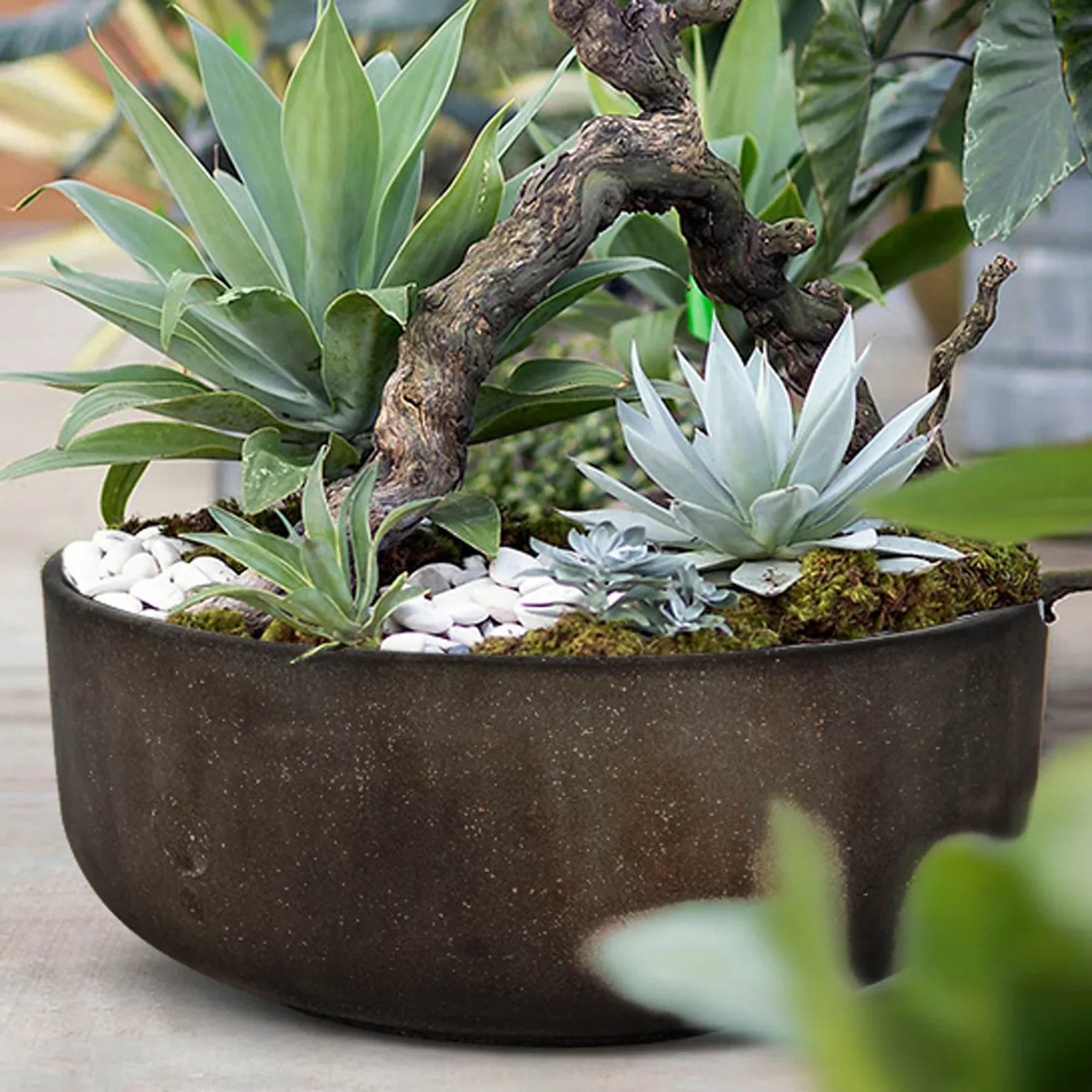 Rustic Bowl - Rustic Brown-thumbmail-4