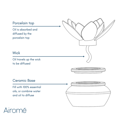 Bloom Porcelain Passive Diffuser-thumbmail-5
