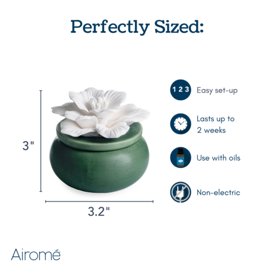 Bloom Porcelain Passive Diffuser-thumbmail-6