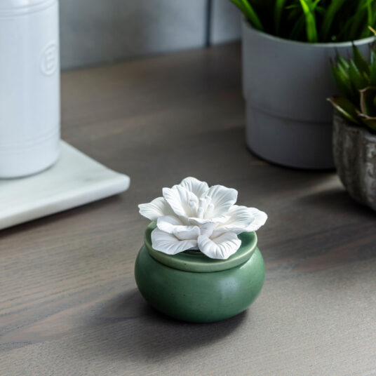 Bloom Porcelain Passive Diffuser-thumbmail-3