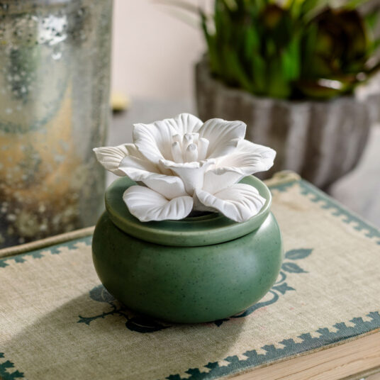 Bloom Porcelain Passive Diffuser-thumbmail-4