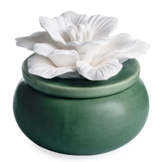 Bloom Porcelain Passive Diffuser